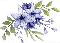 blue flowers and green leaves on a white background