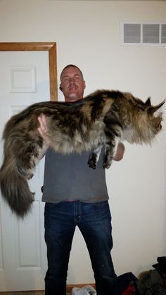 a man holding a large cat in his arms