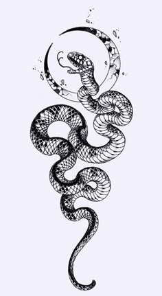 a drawing of a snake with its head in the air and it's tail curled up