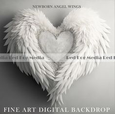 an angel heart with white wings is featured in this black and white photo for the fine art digital backdrop