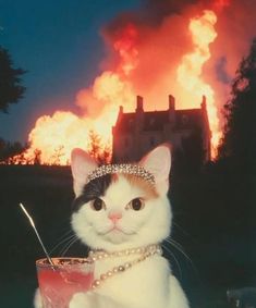 a cat wearing a tiara sitting next to a drink in front of a fire