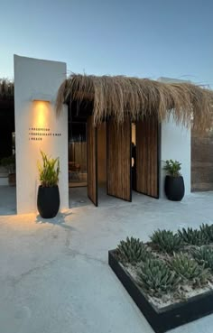 an outdoor area with potted plants and lights on the walls, along with thatched roof