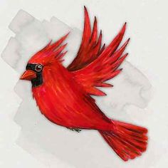 a drawing of a red bird with its wings spread out, sitting on a piece of paper