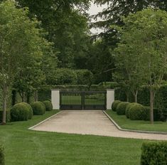 a gate in the middle of a lush green park with trees and bushes around it