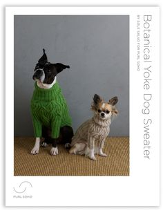 two dogs wearing sweaters sitting next to each other