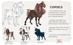 an image of horses that are labeled in different colors and sizes, including black, brown, white, and blue