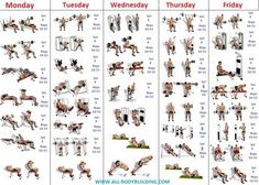 a poster showing the different exercises to do for each bodybuilg person in their 30's