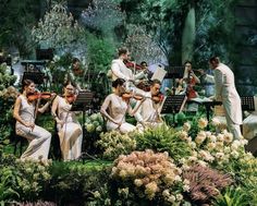 a group of people that are standing in the grass with some violin's on their laps