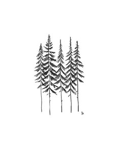 three pine trees are shown in black ink on a white background with the words,