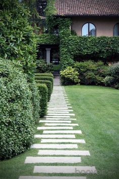 a stone path in the middle of a lawn with hedges and bushes on either side