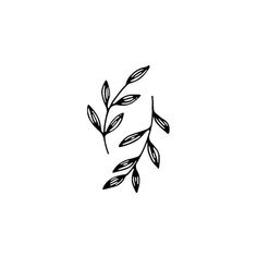 a black and white drawing of leaves