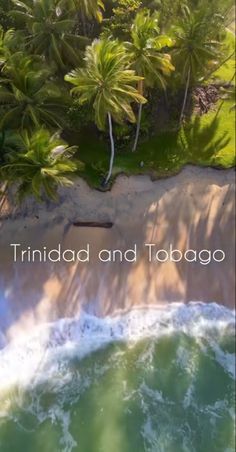 an aerial view of the beach and ocean with palm trees in the foreground text reads, trindada and tobago