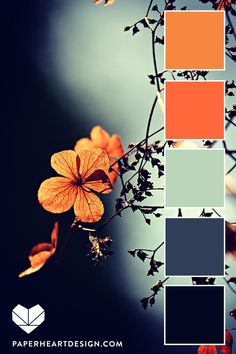 an orange and gray color scheme with flowers in the foreground, on a dark background