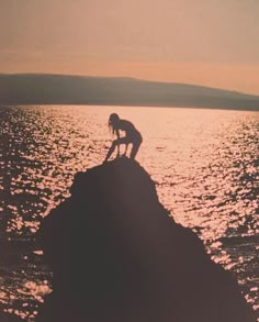 a dog standing on top of a rock in the ocean at sunset with its head down