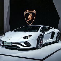 a white lambino is on display at an auto show in front of a black background