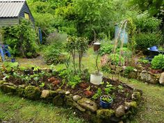 a garden filled with lots of different types of plants