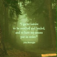 a forest scene with a quote from john burroughs about nature to be soothed and healed, and to have my sense put in order