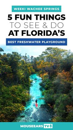 the cover of five fun things to see and do at florida's best fresh water playground