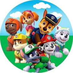 a group of dogs that are standing in the grass with one dog wearing a hat