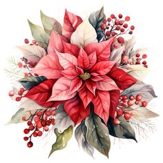 a christmas poinsettia with holly and berries