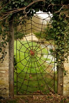 an old iron gate with ivy growing over it's sides and the entrance to a grassy