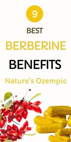 There are many benefits of berberine that you can get if you use it properly. Berberine is readily available and its vibrant yellow hue signifies its potent medicinal properties. Benefits of Berberine Berberine is a bioactive compound that is found in several plants. It has been used for centuries in traditional medicine practices, particularly in... Foods With Berberine, What Is Berberine, Benefits Of Berberine, How To Take Berberine, Berberine Benefits For Women, Berberine Before And After, Berberine Benefits, Mineral Nutrition, Food Health Benefits