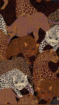 a group of cheetah and leopards in various colors