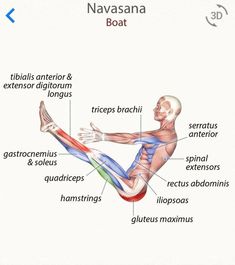 an image of a diagram of the anatomy of a man's leg and foot