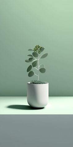 a small plant in a white pot on a green surface with the light coming from behind it