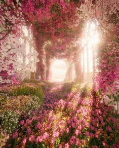 a garden with pink flowers and lots of greenery on the ground, in front of an archway