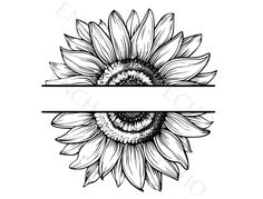 a drawing of a sunflower with two horizontal lines