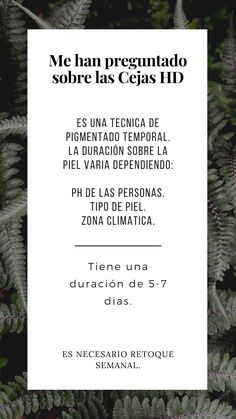 ¿Escuchaste hablar sobre las Cejas HD? es un proceso super rápido, fácil y no invasivo, es una opción para tus cejas.  #CejasHD #belleza #cejas #información #Hennacejas Henna, Lashes, Wax, Branding, Collage, Makeup, Pins, Make Up