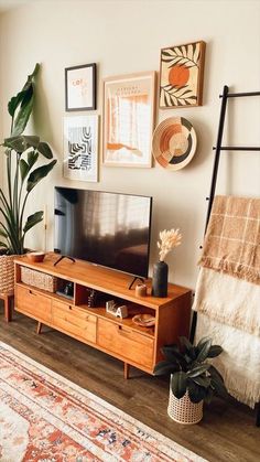 a living room with an entertainment center, rug and potted plants on the floor