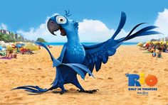 a blue bird is standing on the beach