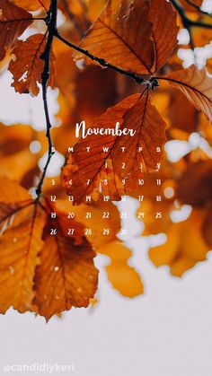 a november calendar with leaves hanging from it