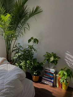 some plants are sitting on a shelf next to a bed