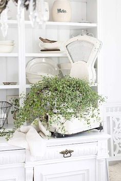 a white cabinet filled with dishes and plants