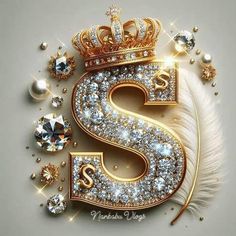 the letter s is surrounded by jewels and pearls on a gray background with a white feather