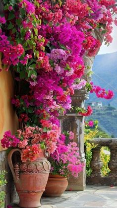 colorful flowers are growing on the side of a building