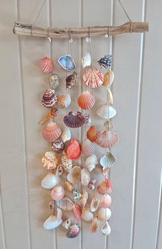 there are many seashells hanging on the wall