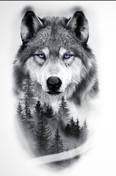 a black and white photo of a wolf with blue eyes