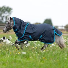 a horse wearing a blanket running in the grass