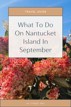 pink flowers with the words what to do on nantuck island in september written below