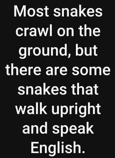 a quote that reads most snakes crawl on the ground, but there are some snakes that walk upright and speak english