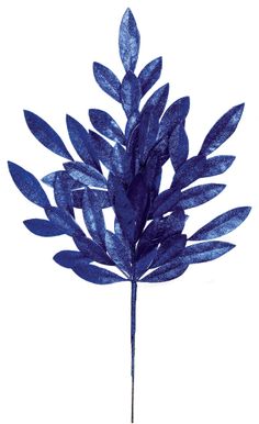 a blue plant is shown on a white background