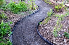 a curved path in the middle of a garden