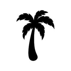 a black and white silhouette of a palm tree