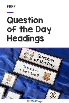 a book cover with the words question of the day headings and teddy bears on it