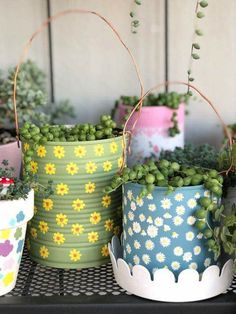 several flower pots with plants in them on a shelf