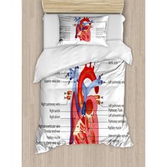 the anatomy of the human heart printed on a bedding set with pillow shampoos